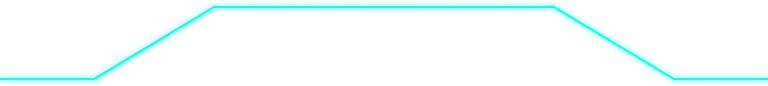 Fine Line Bottom